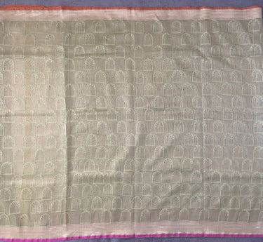 Banarasi Tissue Silk Net Saree | Tilfi weave | Light Green | Handwoven | Ships from California